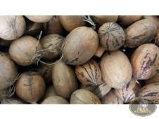 NOCI PECAN NATURALI 100 GR