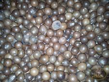 NOCI MACADAMIA NATURALI 100 GR