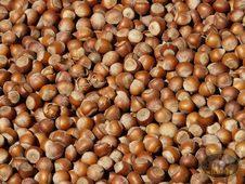 NOCCIOLE NATURALI A GUSCIO 100 GR