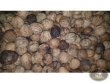NOCI NATURALI A GUSCIO 100 GR