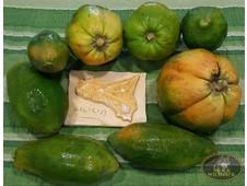 PAPAYA SICILIANAI 1 KG